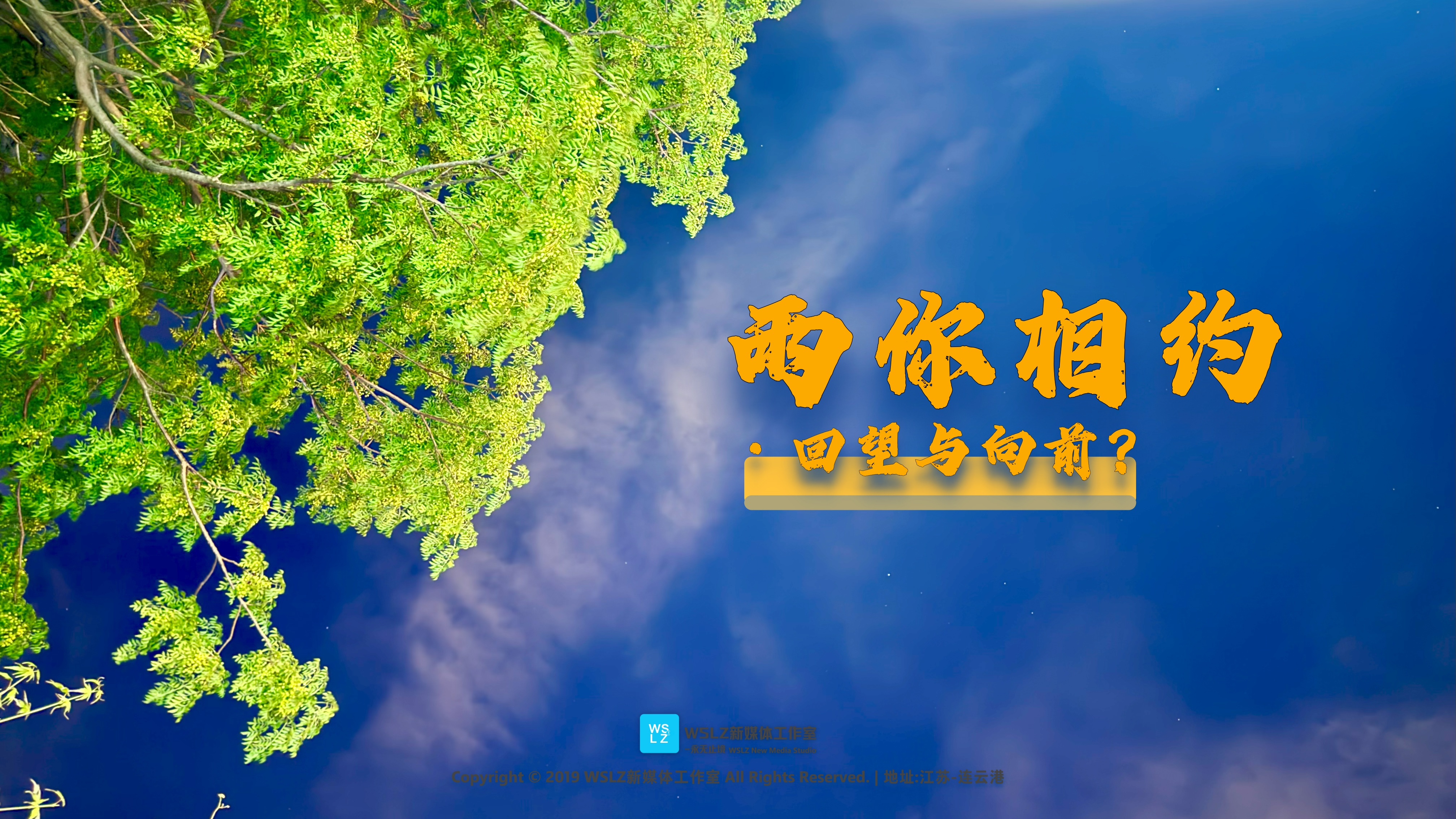 有一段时间没有写东西了